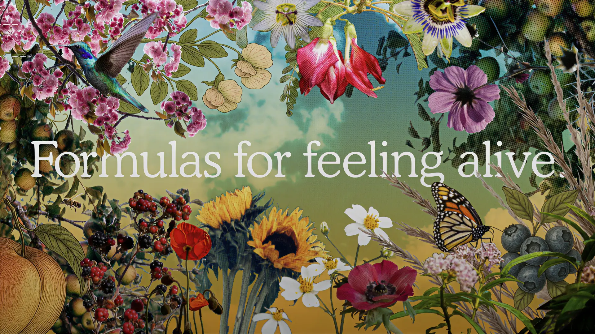 Formulas for feeling alive: an illustrated garden of flowers, fruit, a hummingbird and a butterfly